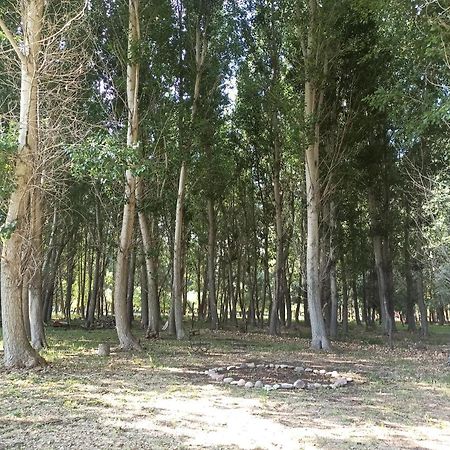 Cabana Ecologica 乌斯帕亚塔 外观 照片
